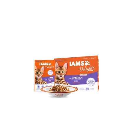 IAMS Delights konservuotas ėdalas su vištiena padaže kačiukams, 85 g