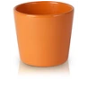 Vazonas